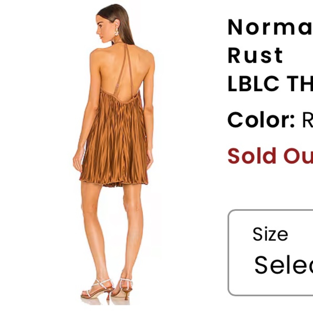 NWT! LBLC the Label Dress Rust Pleated Mini size M